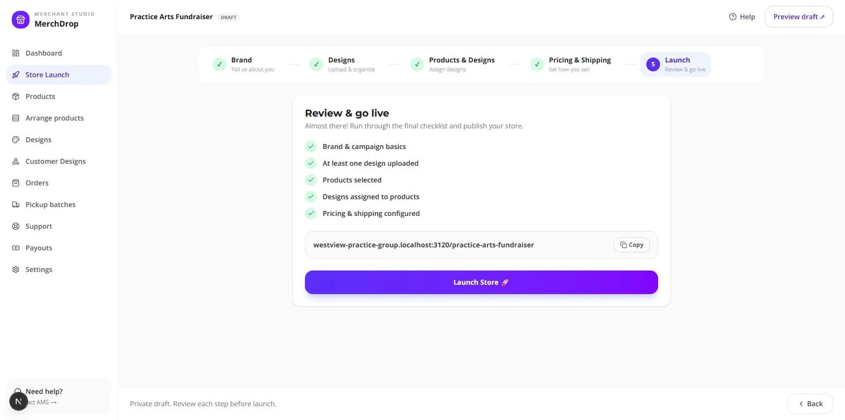 Draft store Launch screen with the readiness checklist and Launch Store button.
